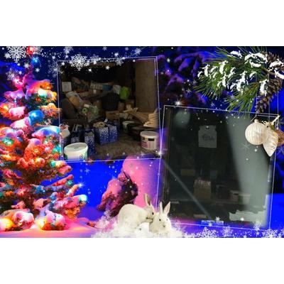 my_photo_christmas-922.jpg
